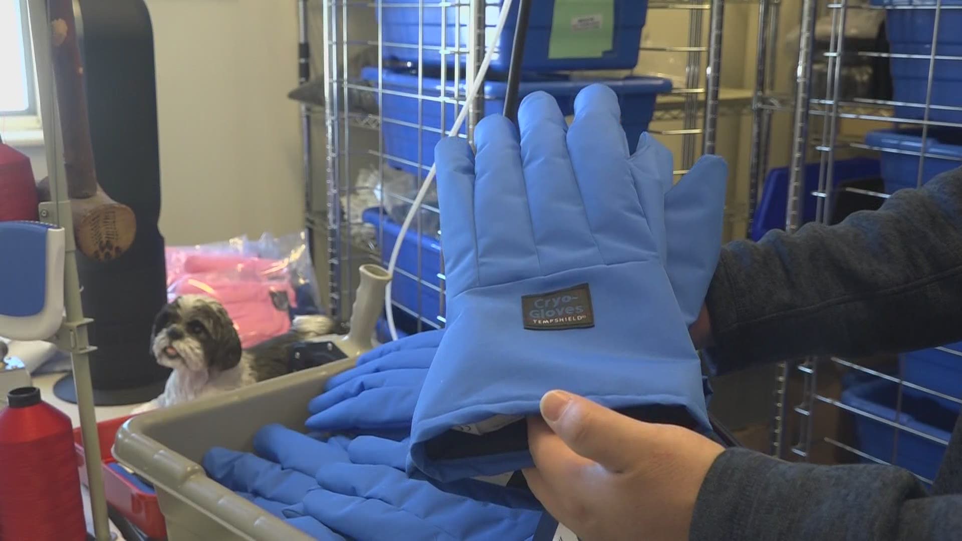 Cryo-gloves, a type of glove a small manufacturing company in Maine is one of two in the US, making them.