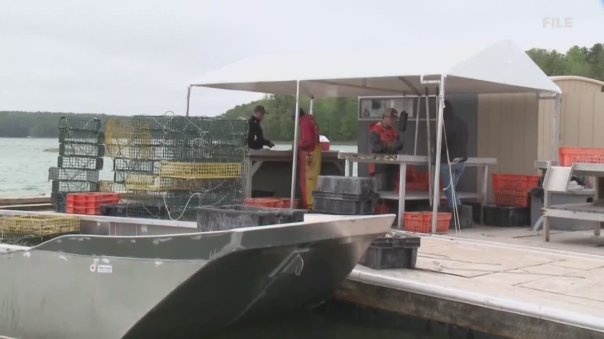 Federal aid and new projects will help Maine's aquaculture industry