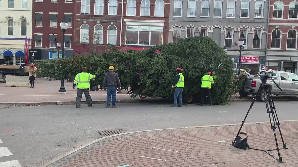 Bangor holiday tree