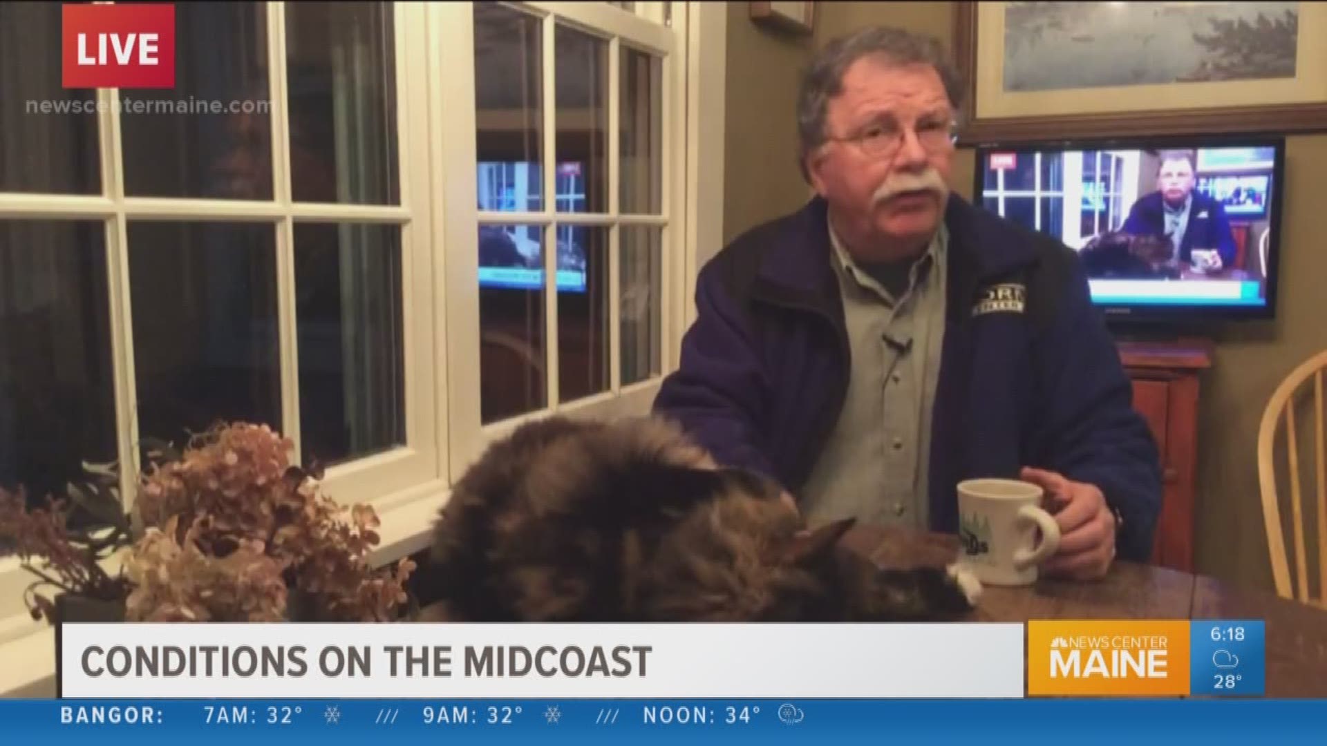 Don Carrigan reports on Midcoast conditions with Wally the cat