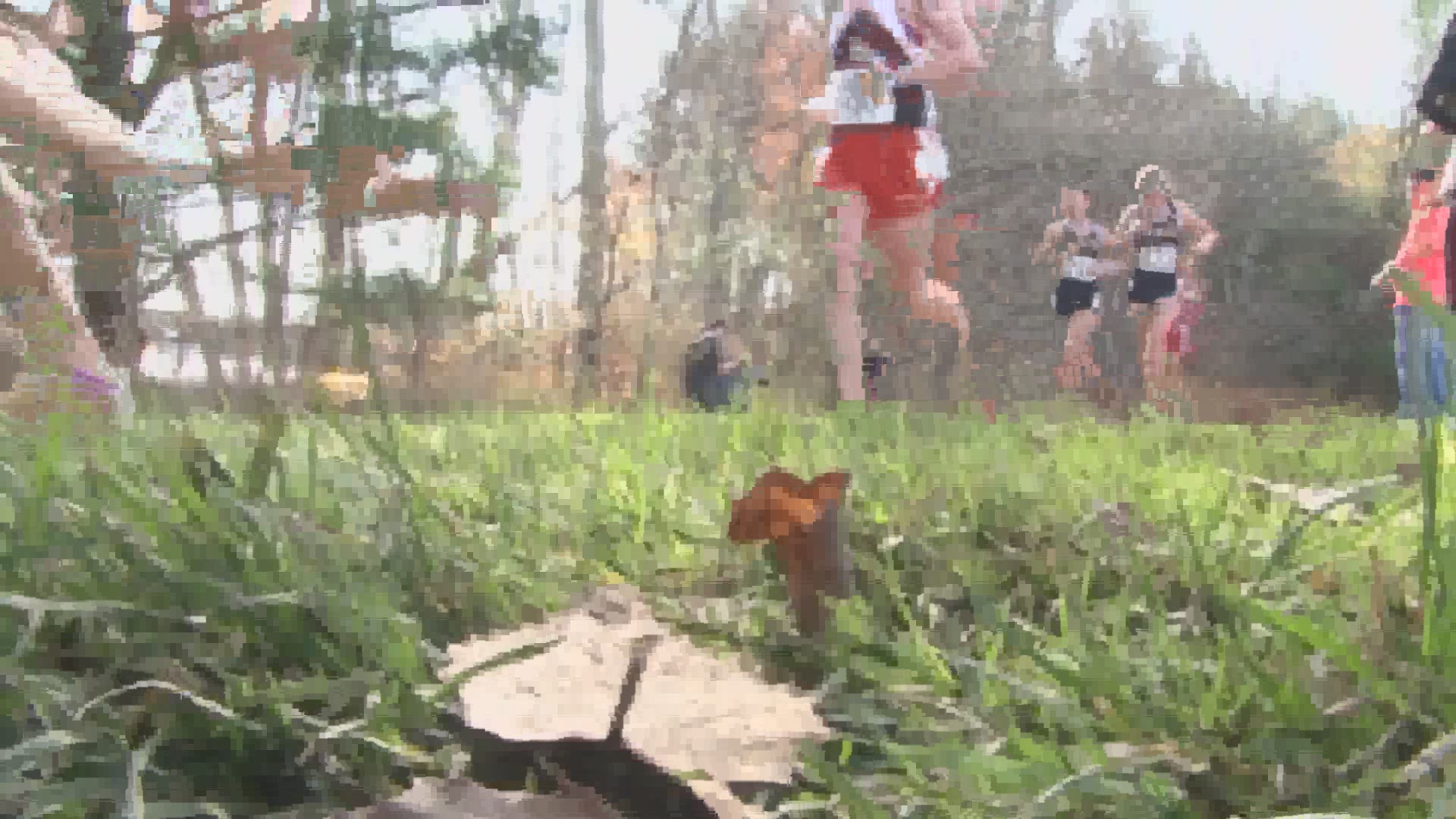 The state championships in high school cross country have been canceled due to Covid 19risk