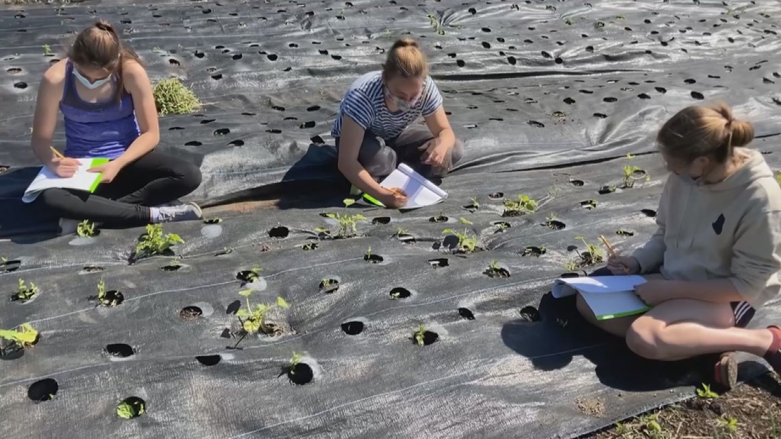 Kittery Maine students have school on the farm on remote days - Vimarsana News