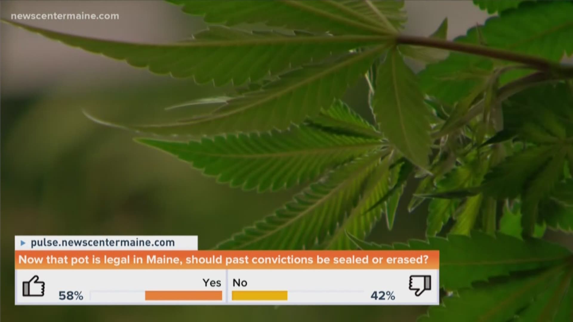 Now that marijuana is legal in Maine, should those with past pot convictions be cleared?