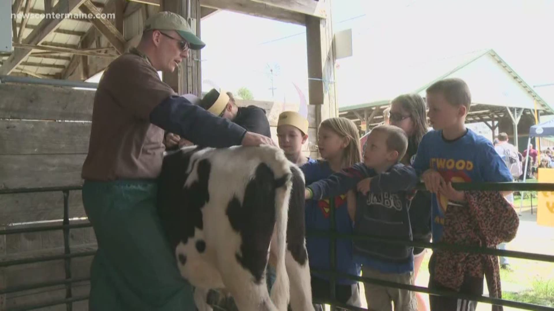 The livestock expo at Windsor Fair teaches children about the value of farms and food production in Maine.