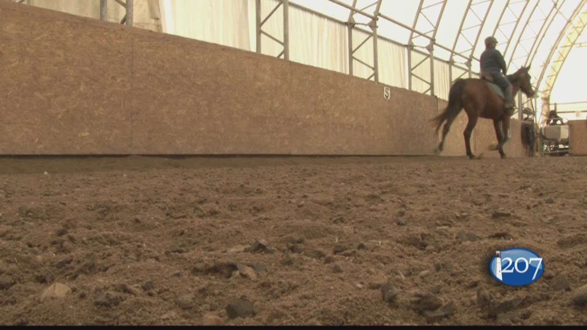 At Photo Finish Farm in Buxton there's been hundreds of retired harness racing horses who have been retrained to ride under saddle to avoid being slaughtered. 