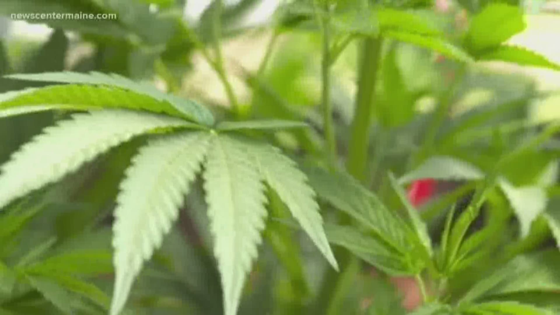 A proposal on retail marijuana sales regulations is on its way to the full Portland City Council.