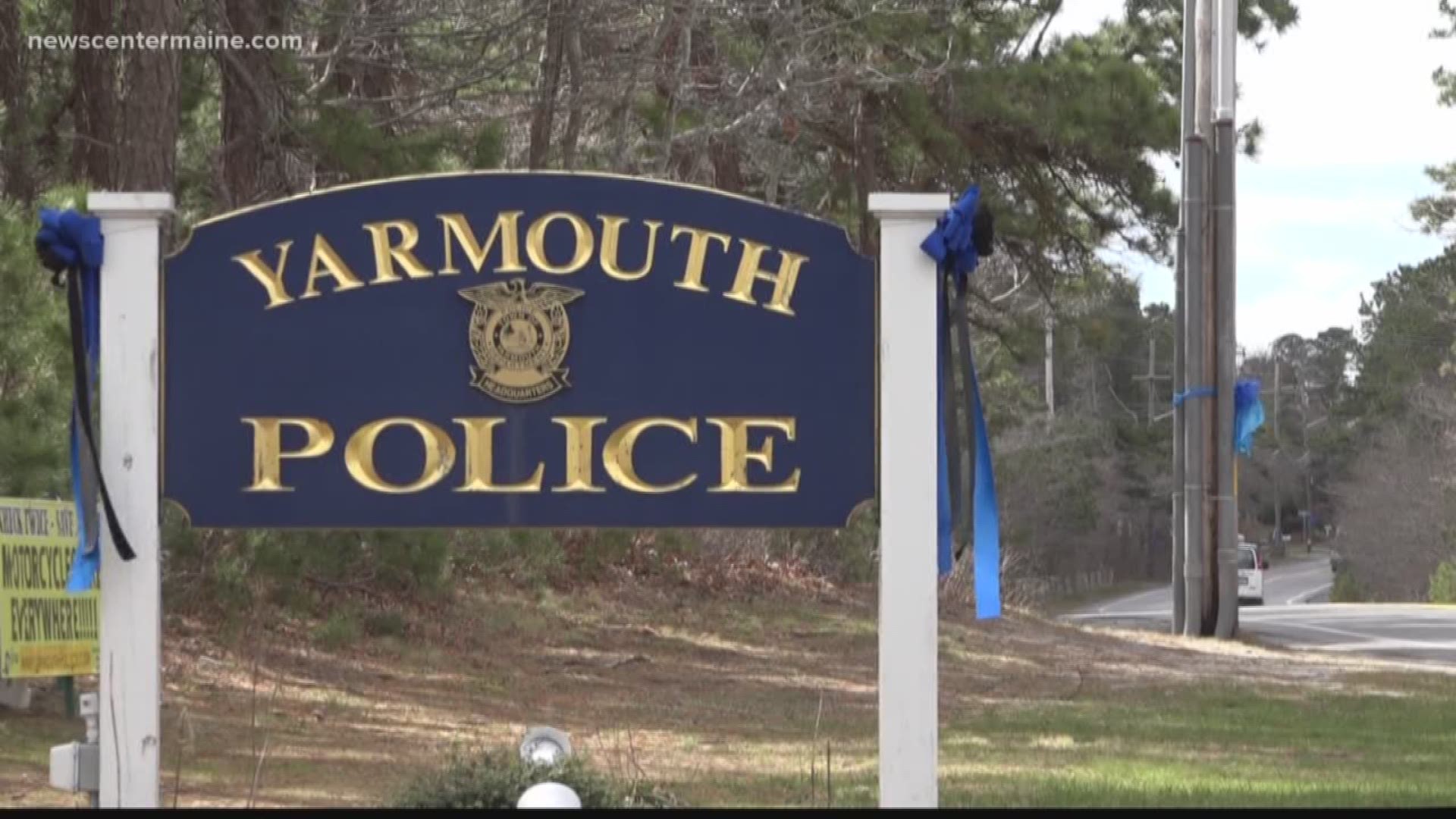 NOW- Yarmouth MA Reax Part 2 