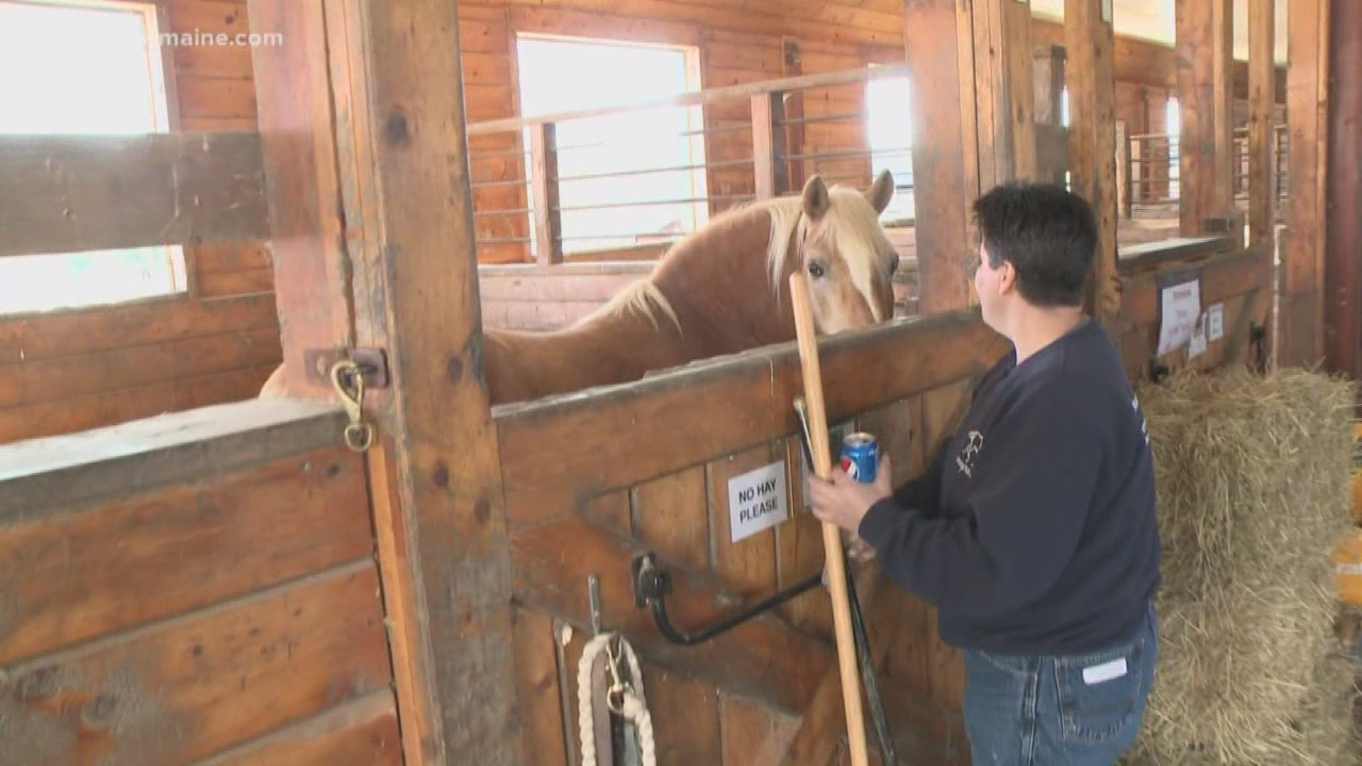 A program at the Maine State Society for the Protection of Animals relies on the help of inmates to care for - and heal -- their horses.