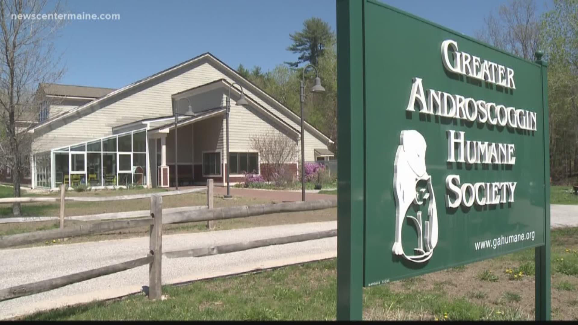 Ex-Employee says shelter is "quick to euthanize"