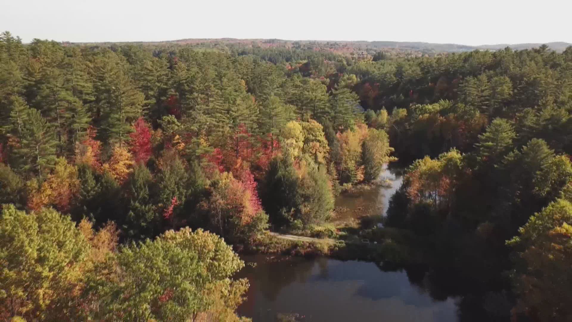 Officials at Maine Water Co. believe the water smell, which resulted in a 4-day 'do not drink' order, was caused by a dam construction project