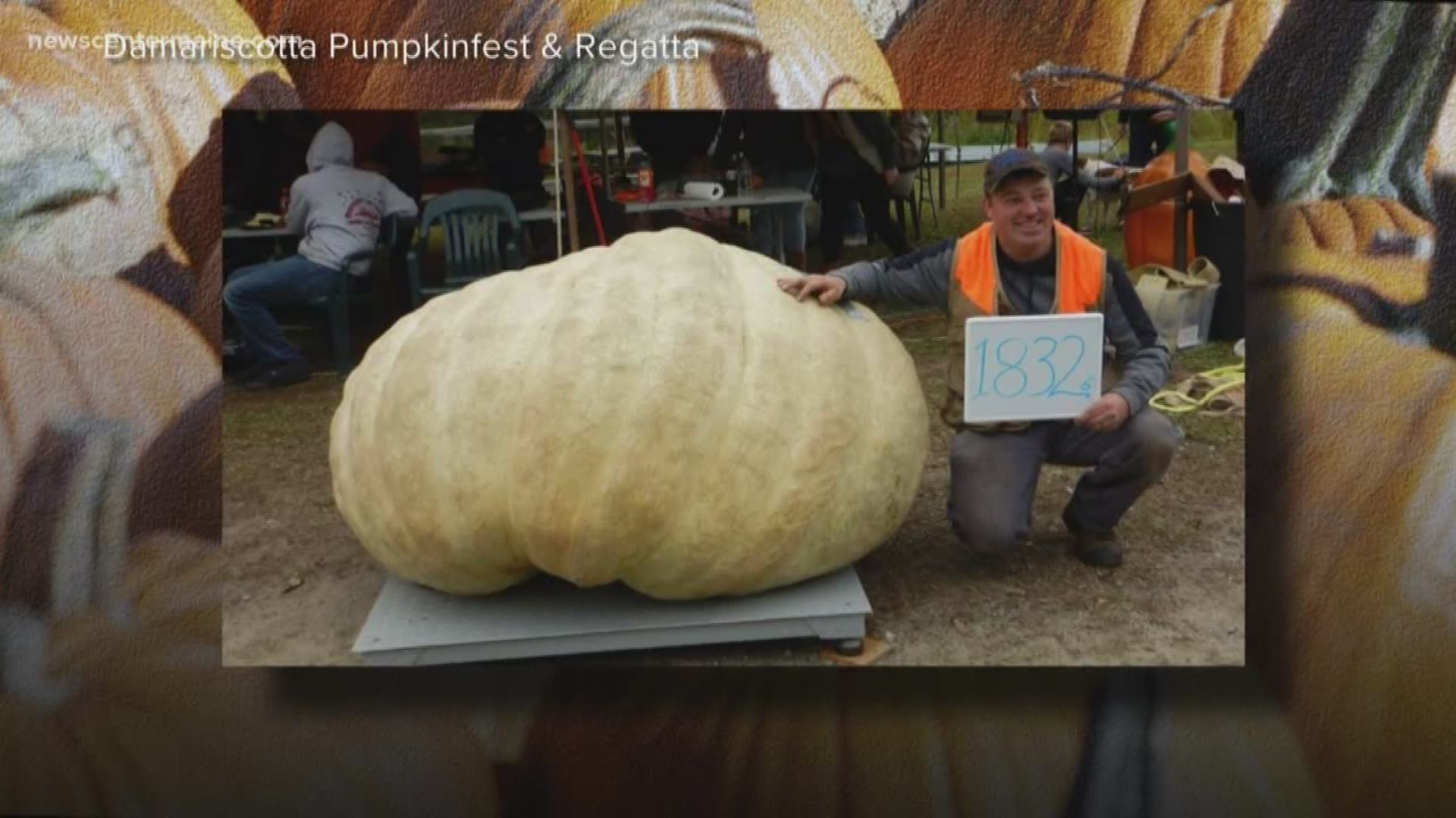 Here's the winner of the annual Damariscotta Pumpkinfest "Biggest pumpkin" contest... His name is Edwin Pierpoint of Jefferson.
