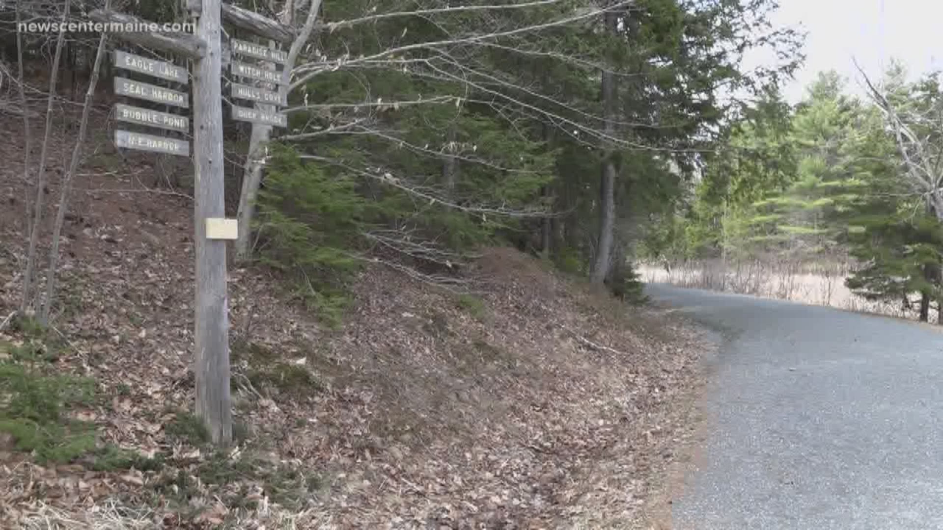 The carriage roads at Acadia National Park are now open for foot traffic.