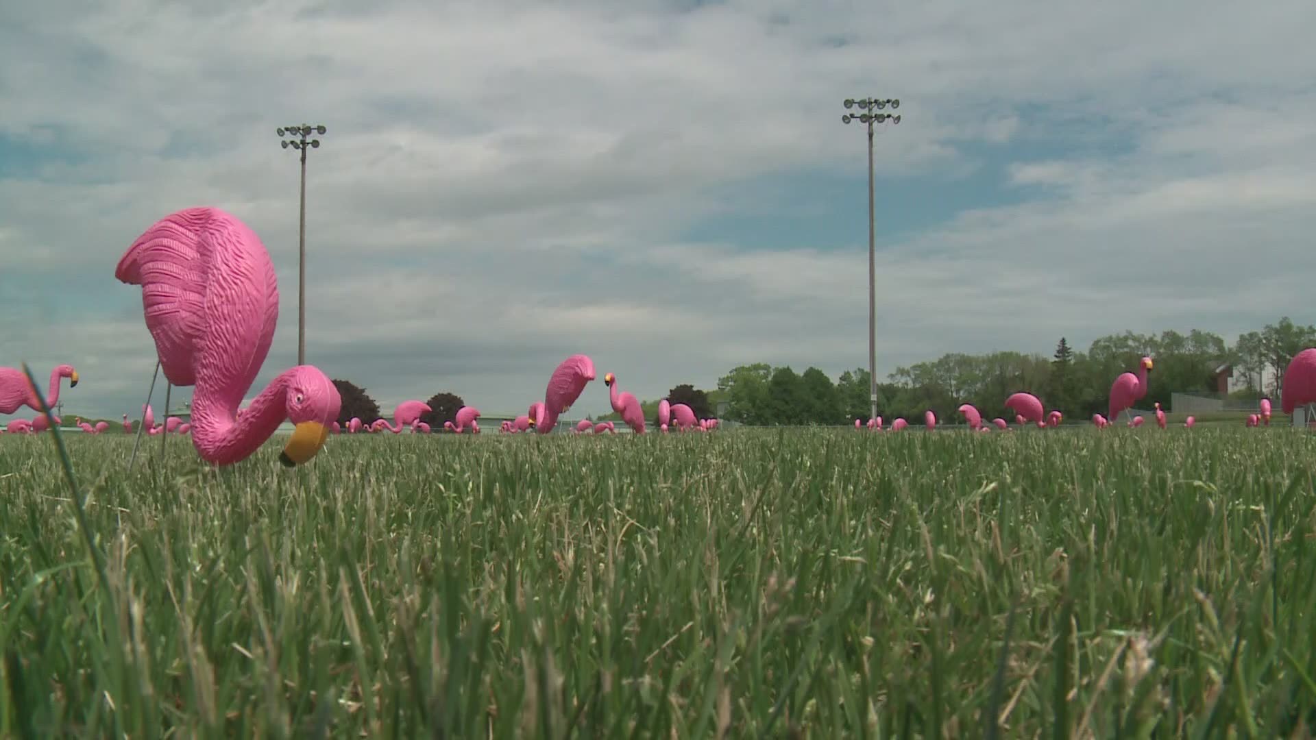 A sea of pink: A South Portland High School mystery