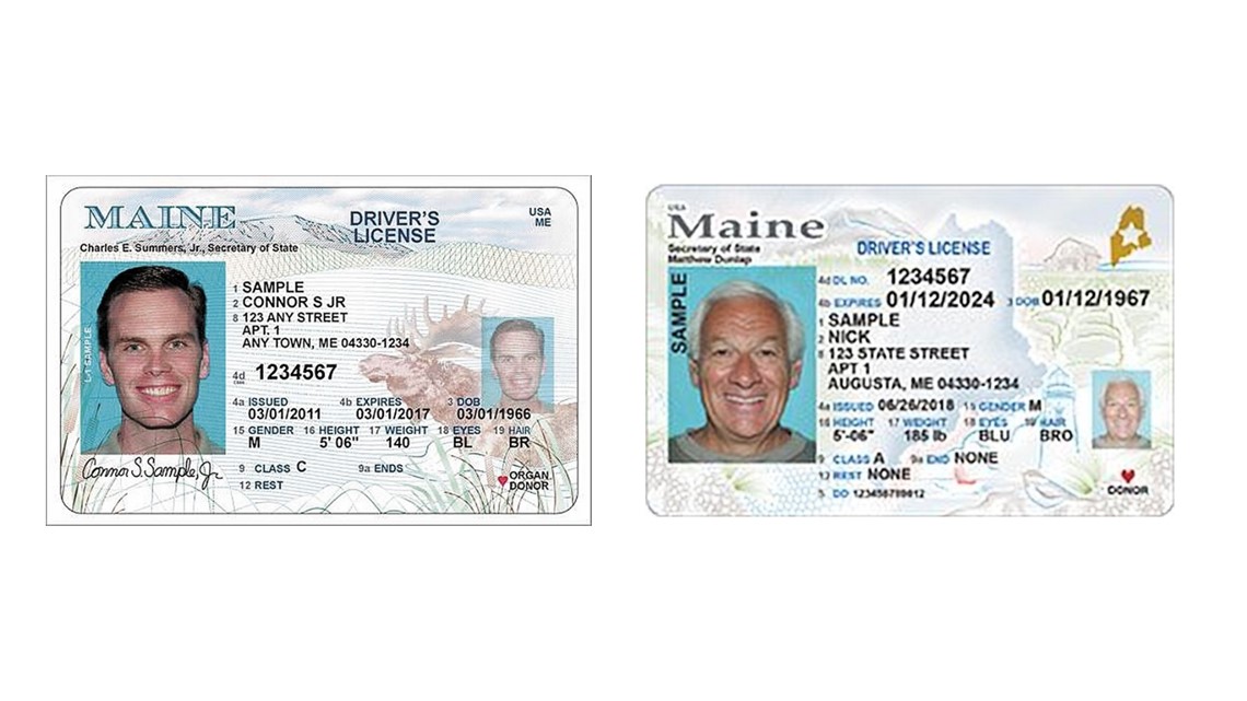 maine drivers license template free