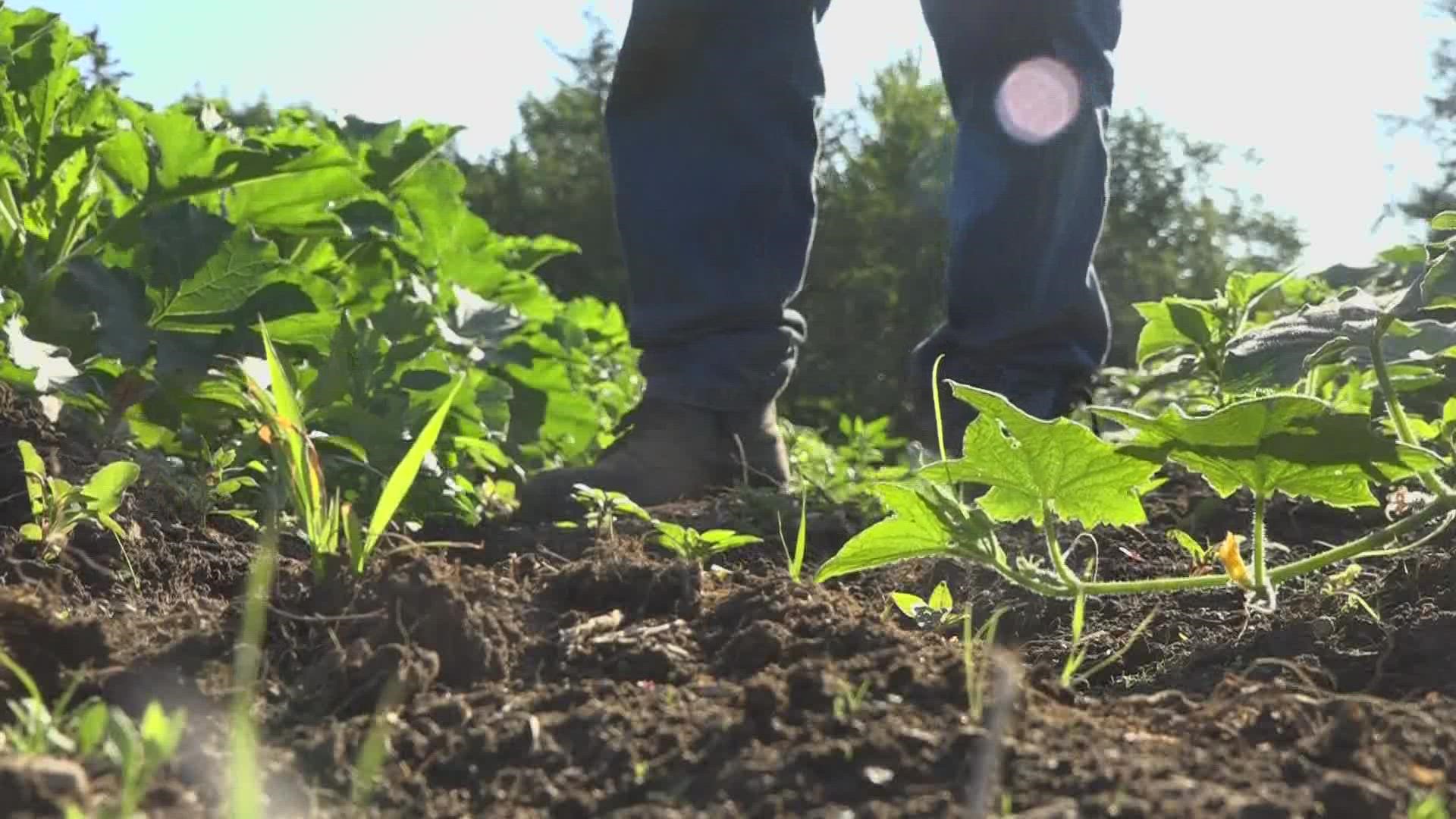 The Mountain View Correctional Facility in Charleston has been running a successful farm-to-table and bakery program for inmates to prepare and eat healthier meals.