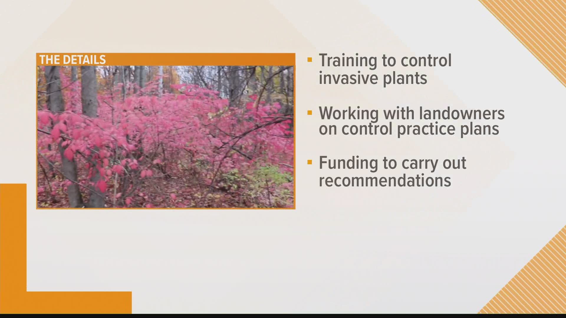 The Maine Department of Agriculture, Conservation, and Foresty along with the Maine Forest Service is providing up to 85-thousand dollars for a new program.