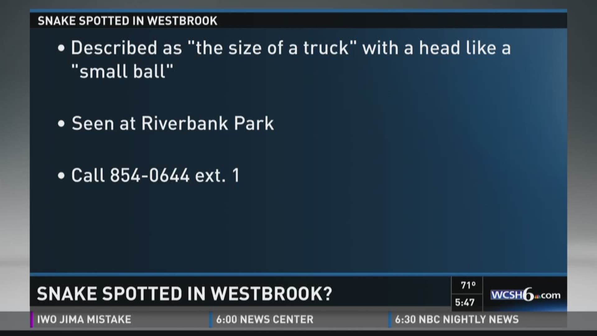 Snake suspicions in Westbrook.