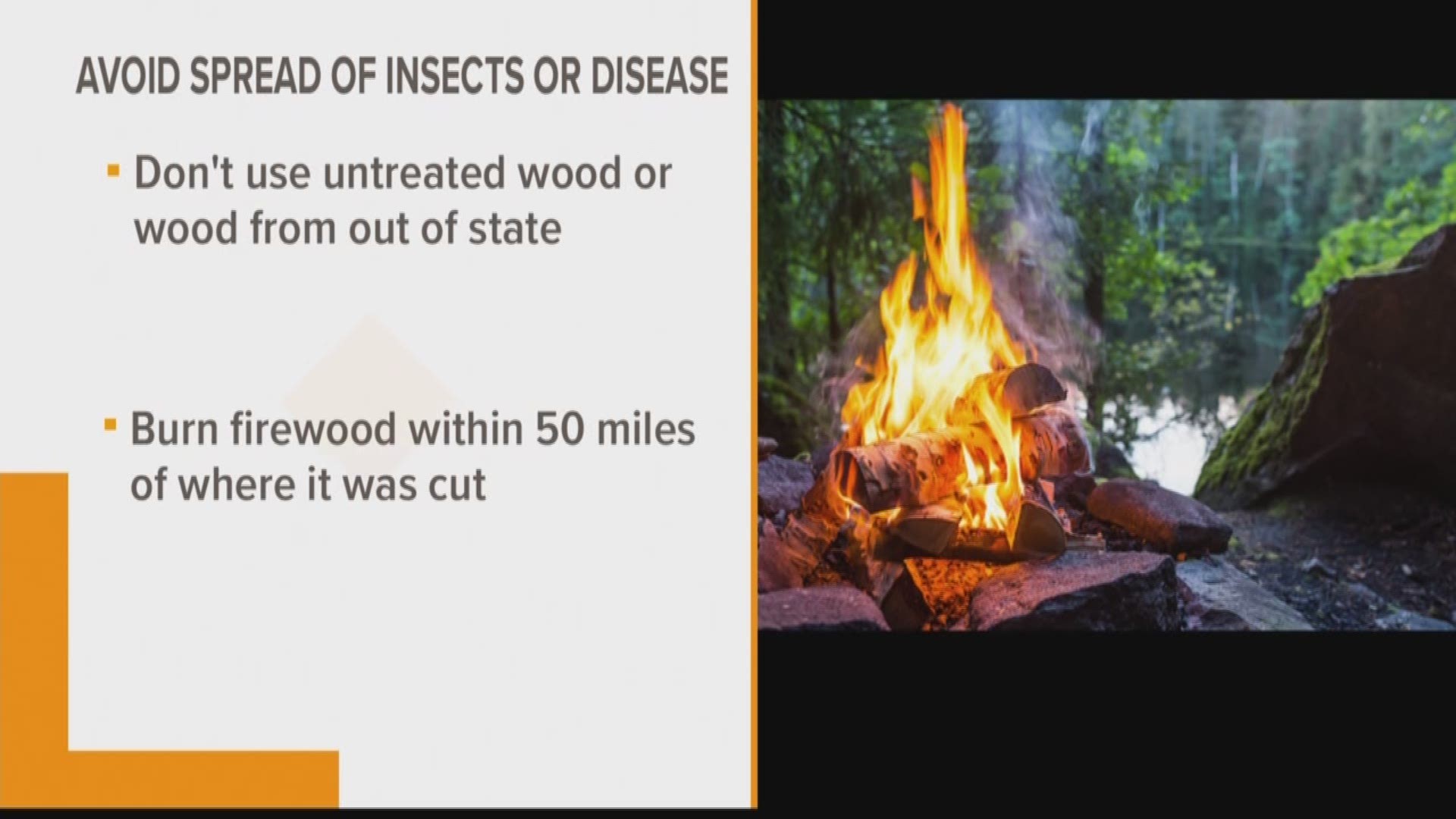 Experts say to use local firewood so that invasive forest insects and diseases don't spread. They recommend burning firewood within fifty miles of where it was harvested.