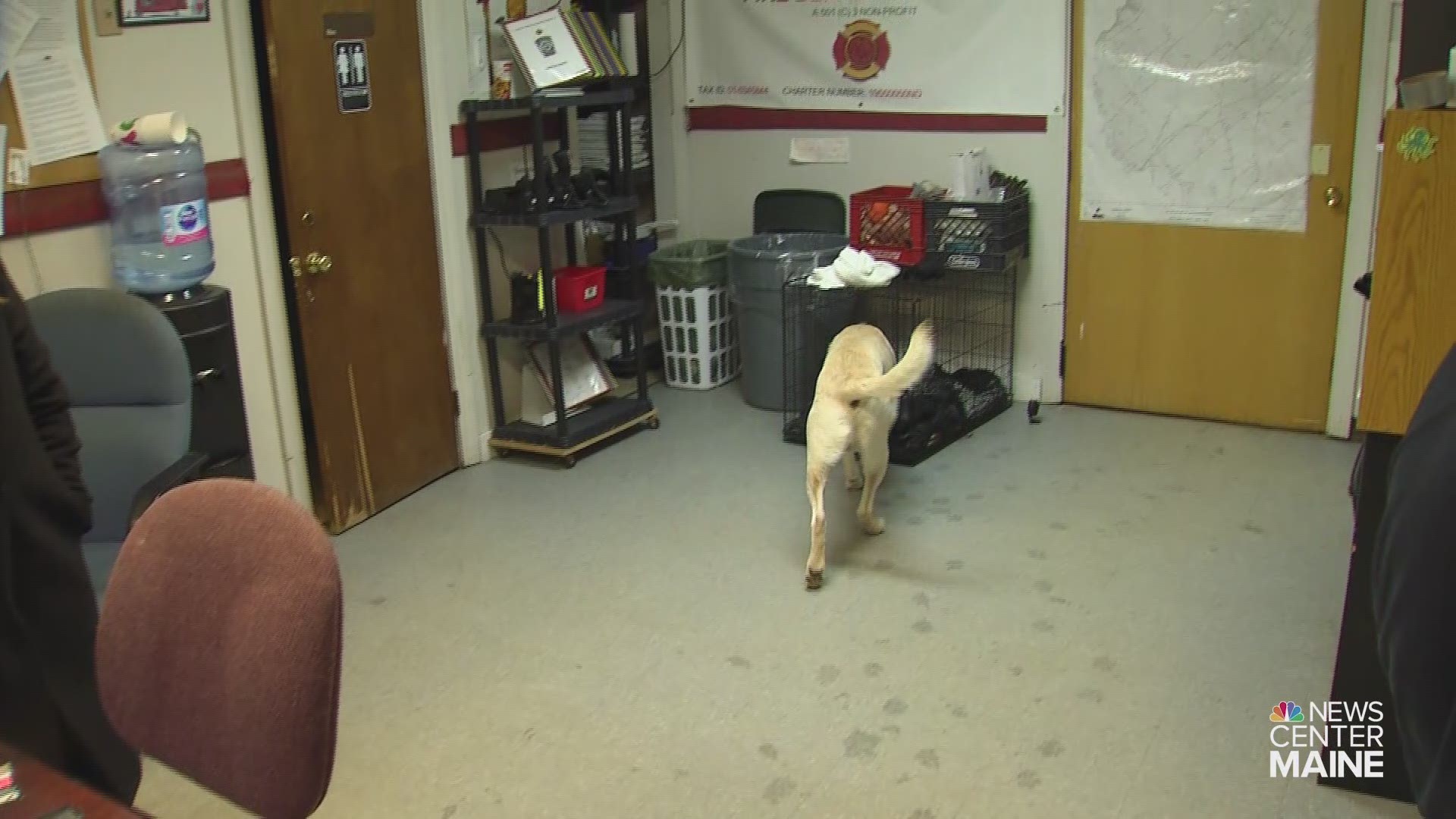 "He's trained," said Lt. Matt O'Connor. "When he hears my phone go off he runs in the crate and lays down."