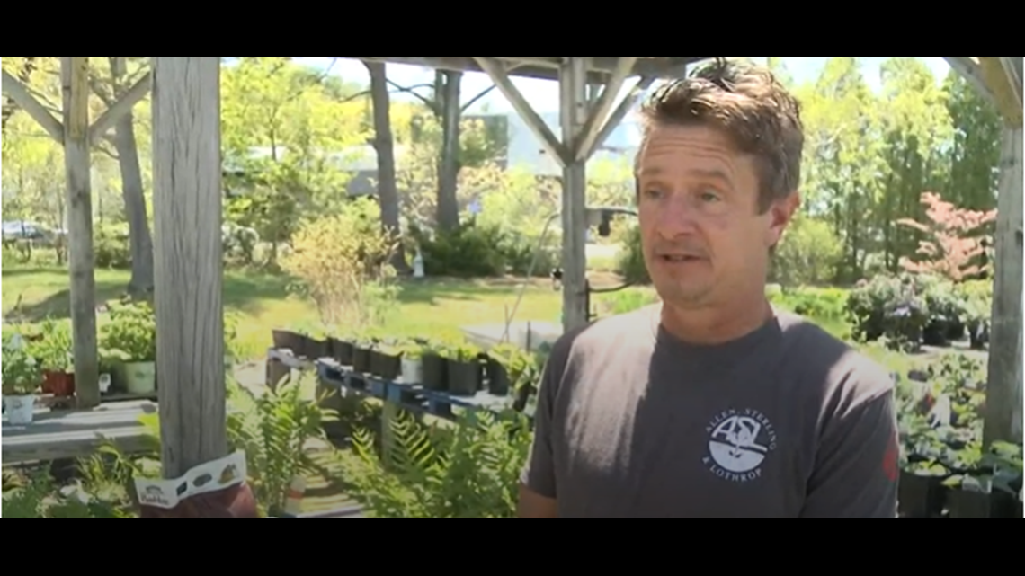 Mainers go gaga over growing veggies