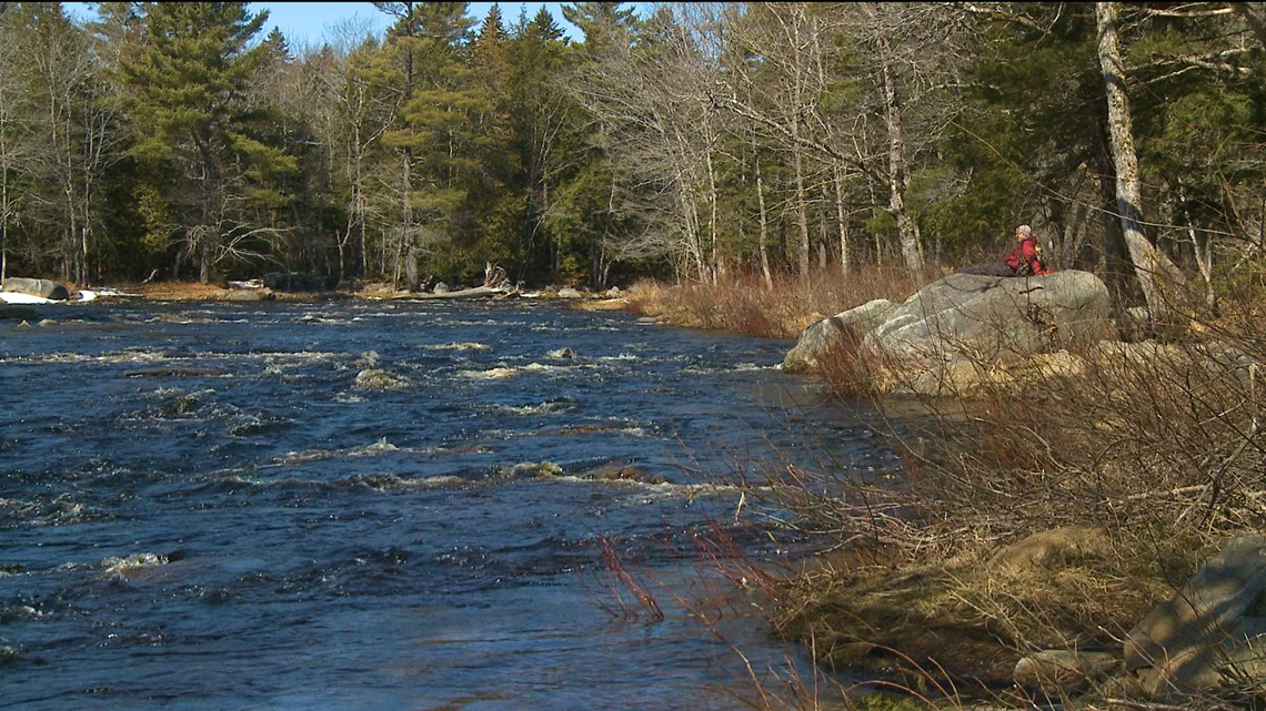 A Breath of Fresh Air on the Machias River, Maine