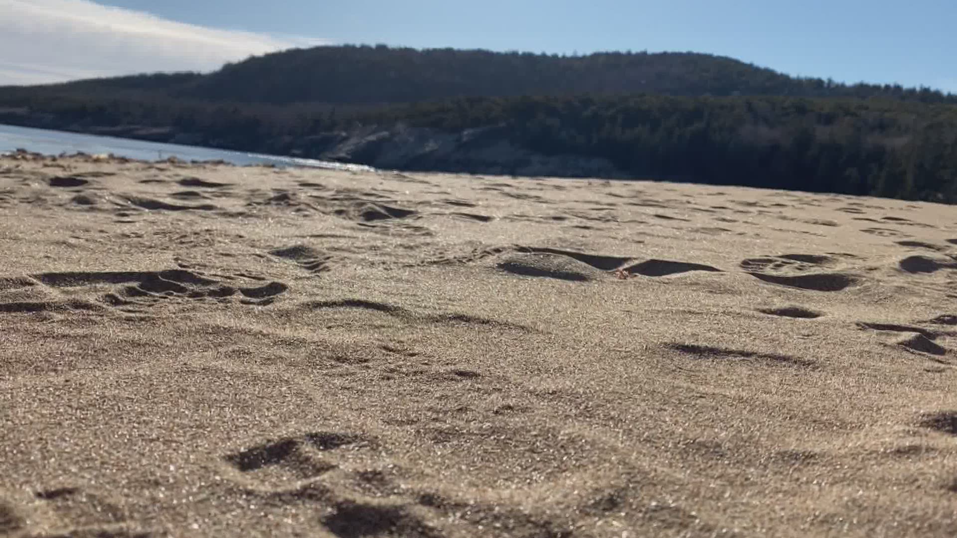 Sand Beach, Acadia National Park.