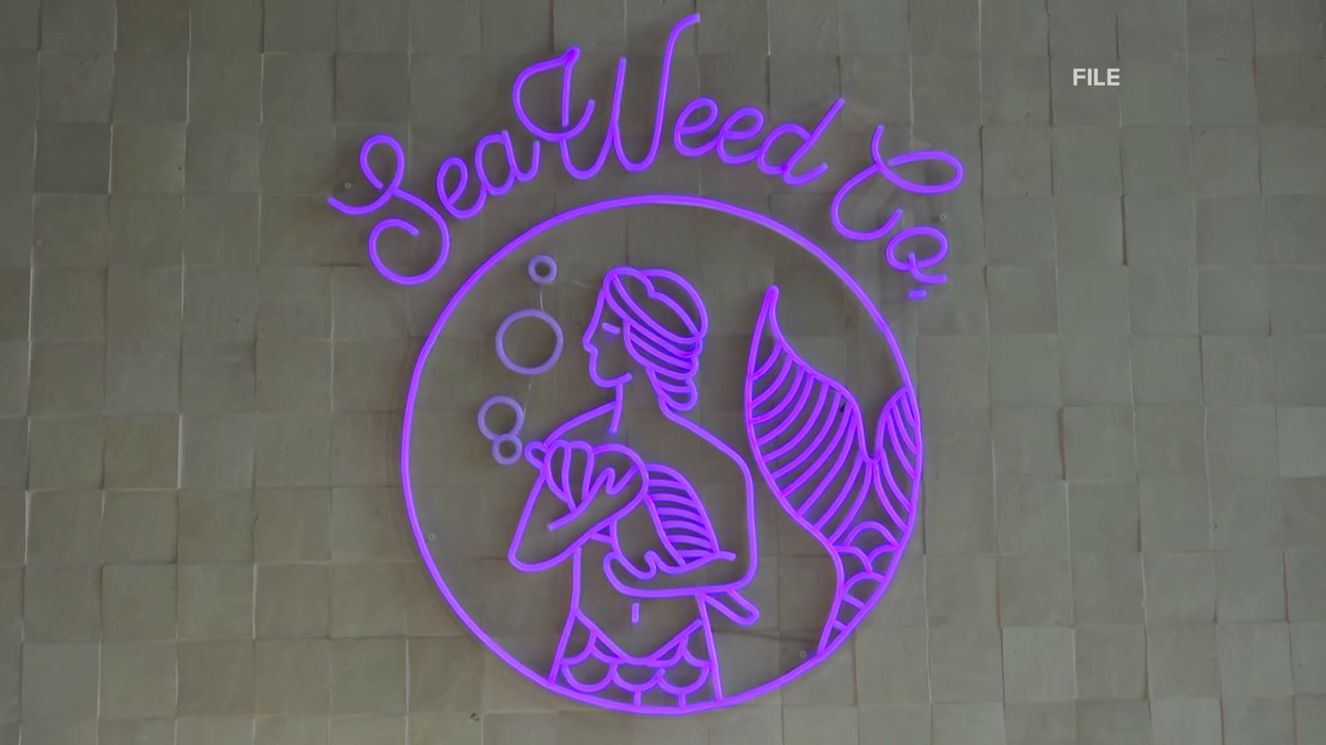 South Portland adult-use cannabis retailer, Seaweed Co. taking legal action against state regulators.' That its logo goes against rules to prevent sales to minors