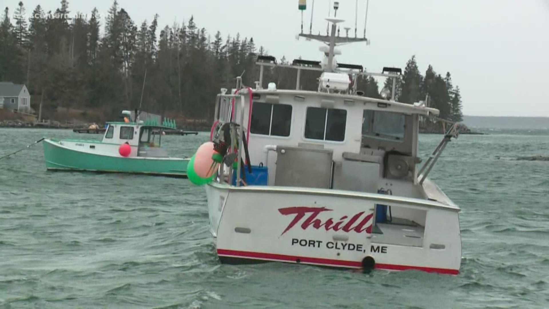 Maine's lobster catch in 2019