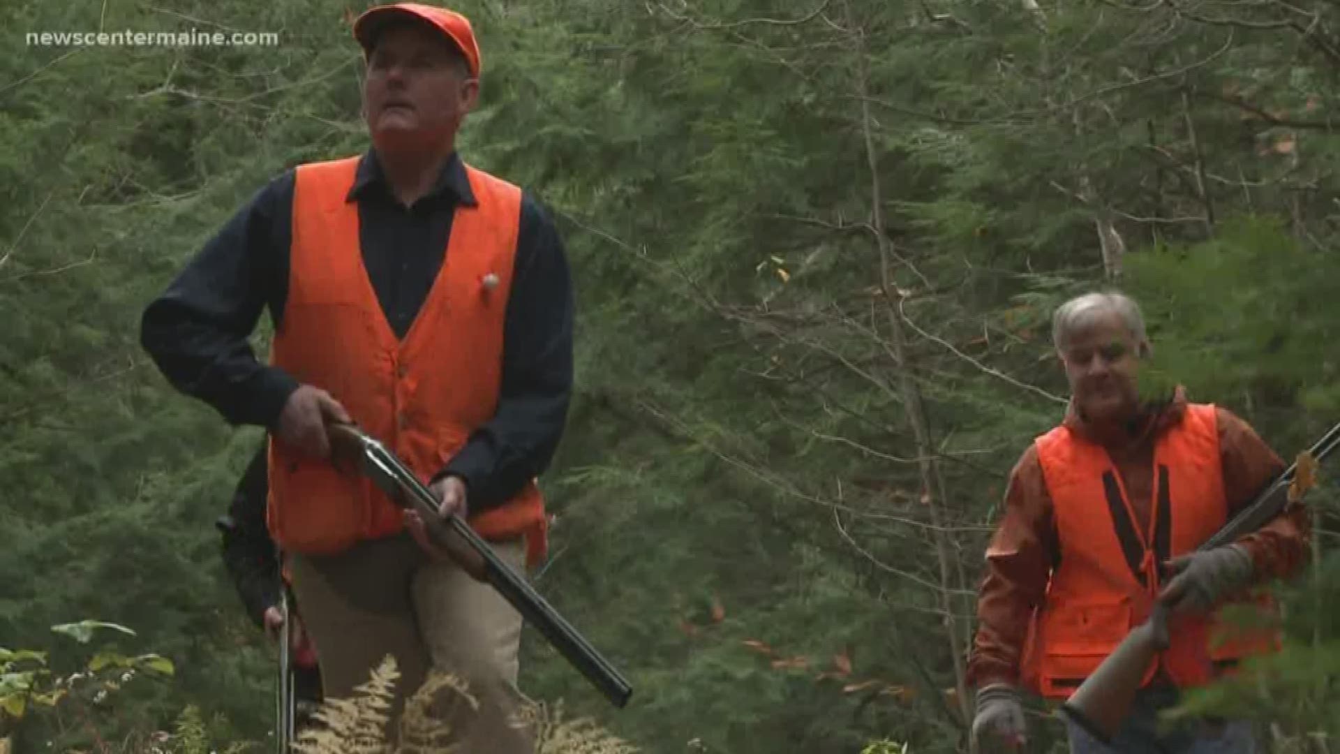 Maine small game hunting season is now underway. People are allowed to hunt gray squirrels and snowshoe hares.