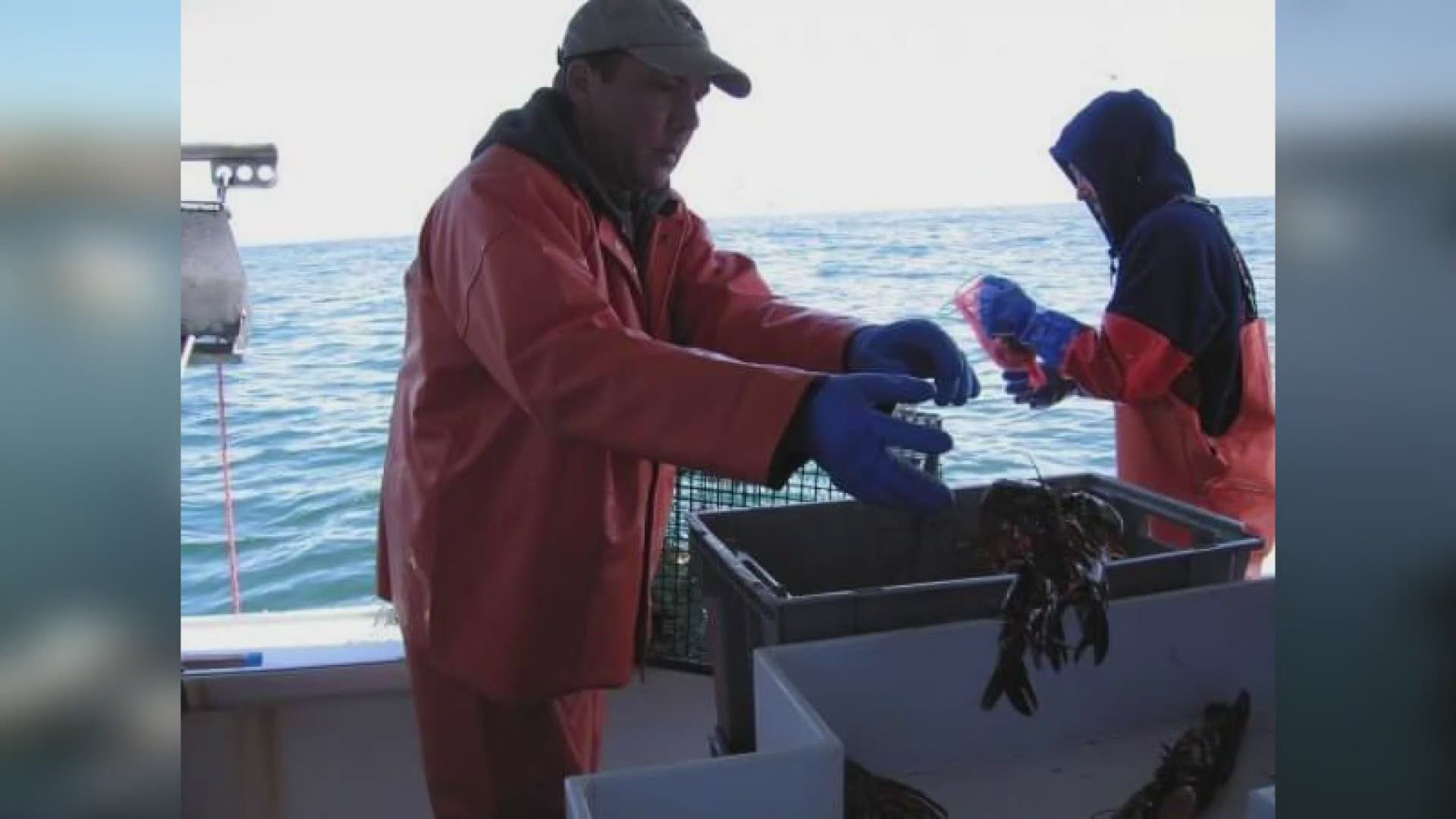Maine's Congressional delegation is asking President Biden to help protect the lobster industry from proposed regulations aimed at protecting right whales.