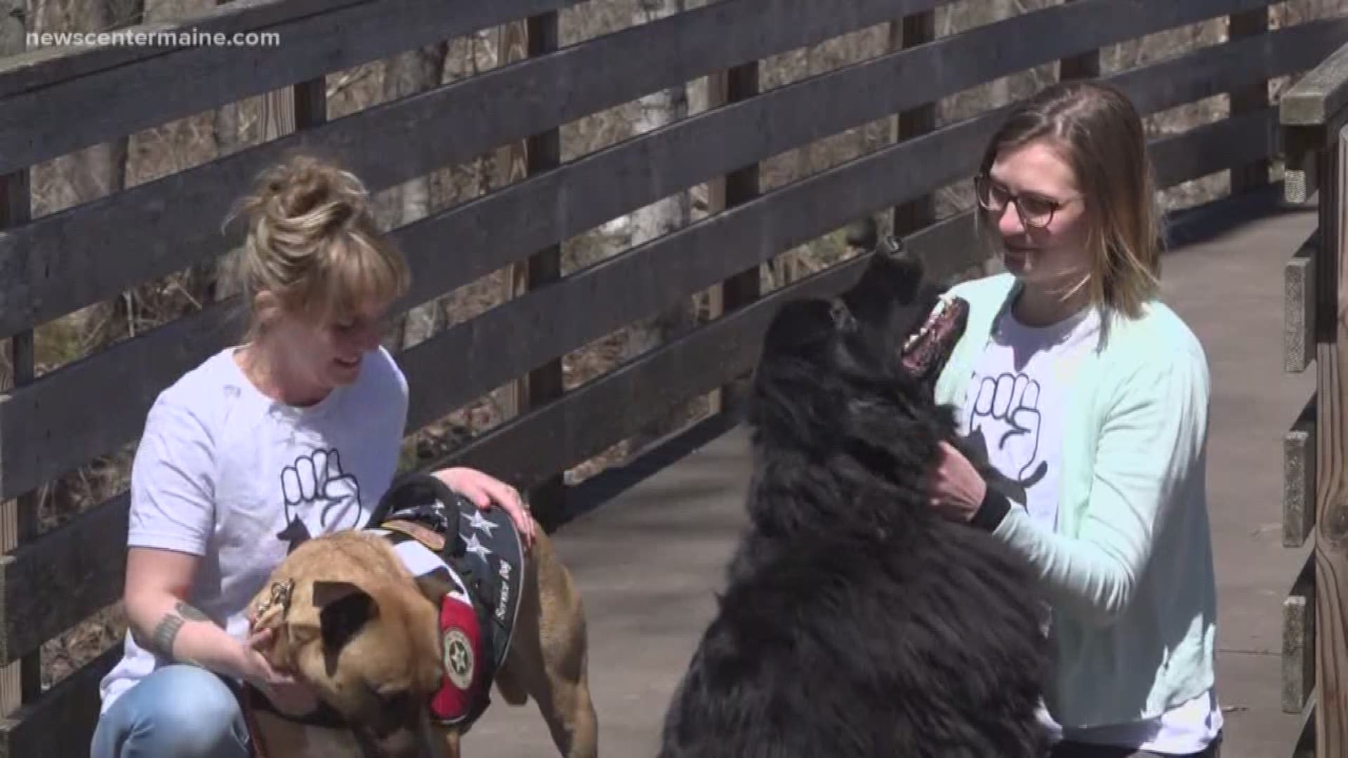 Two Mainers are starting a nonprofit to pair sexual assault survivors with service dogs.
