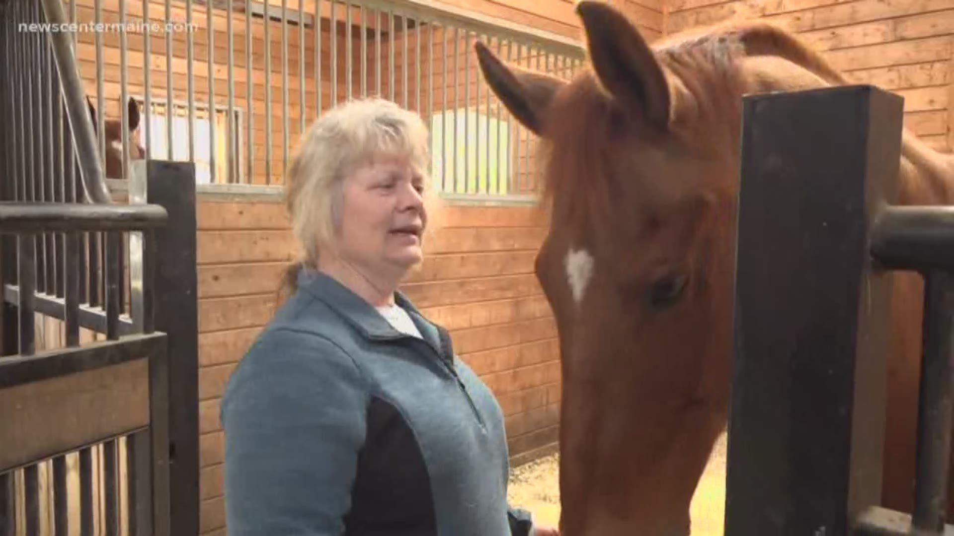 To help pay for her horse farm, Krystal Coombs opened up a horse hotel. The Hamden Hills Equine Inn is open for reservations. You can also take a guided tour on your horse through the winding trails of Camden Hills State Park during your stay.