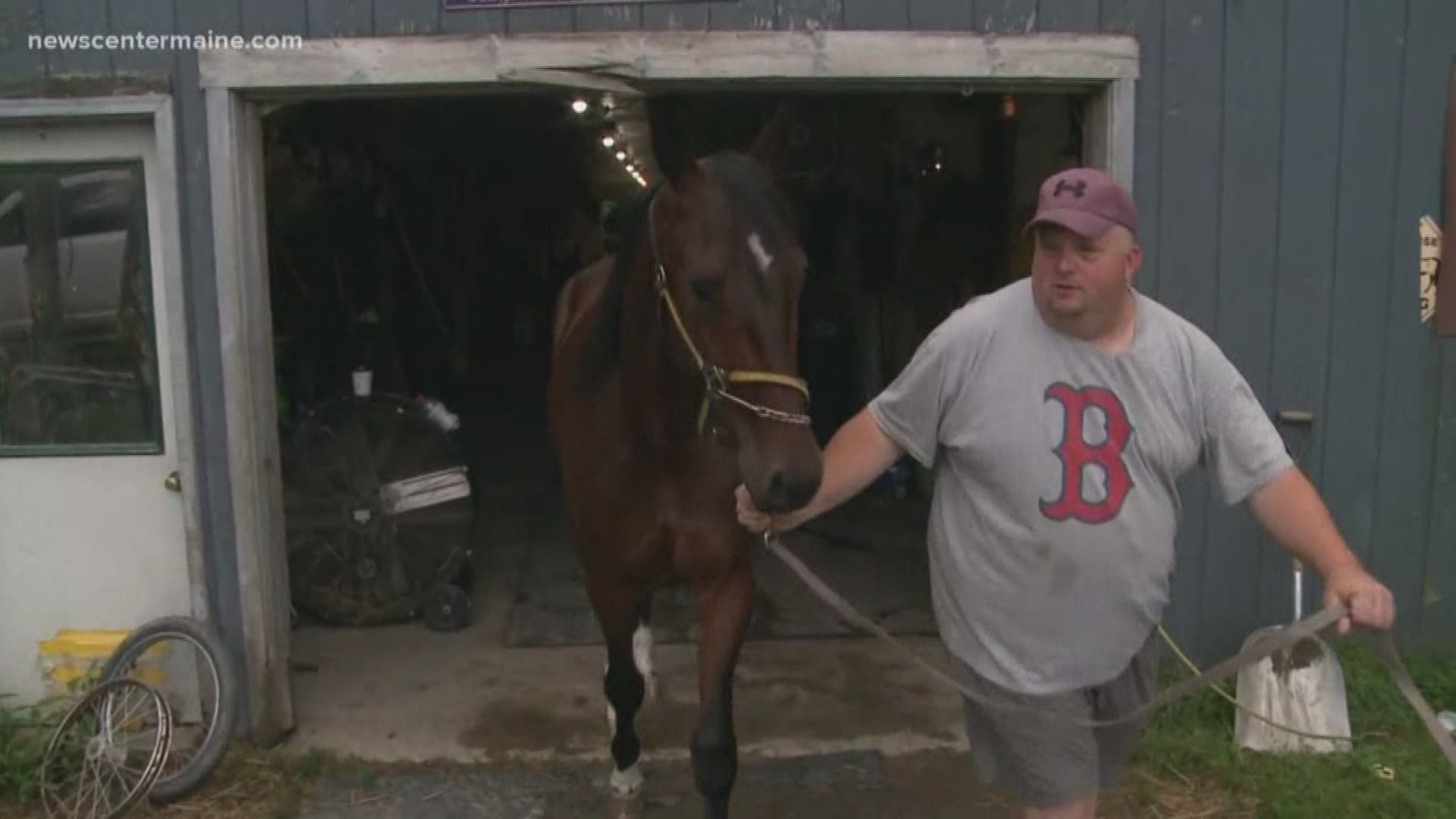 'Cpl. Cole', as the horse is named, will hit the race track for the first time Sunday at the Skowhegan Fair.