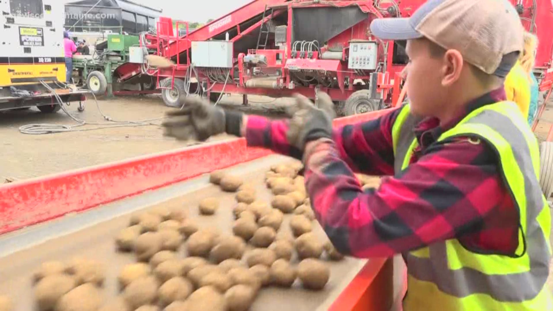 Annual potato harvest break in ME schools is a dying tradition