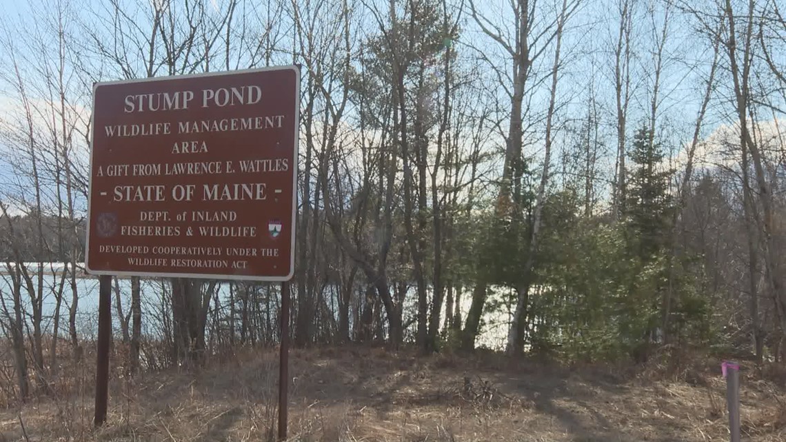 Breath of Fresh Air Stump Pond, New Vineyard