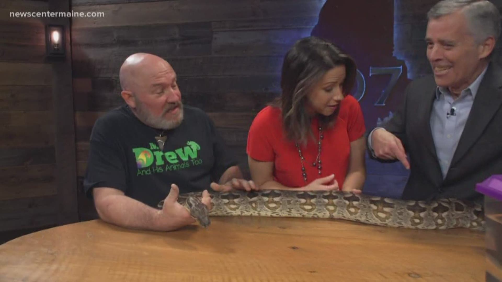 Handling a tarantula and boa constrictor—hey, they’re just part of the job.