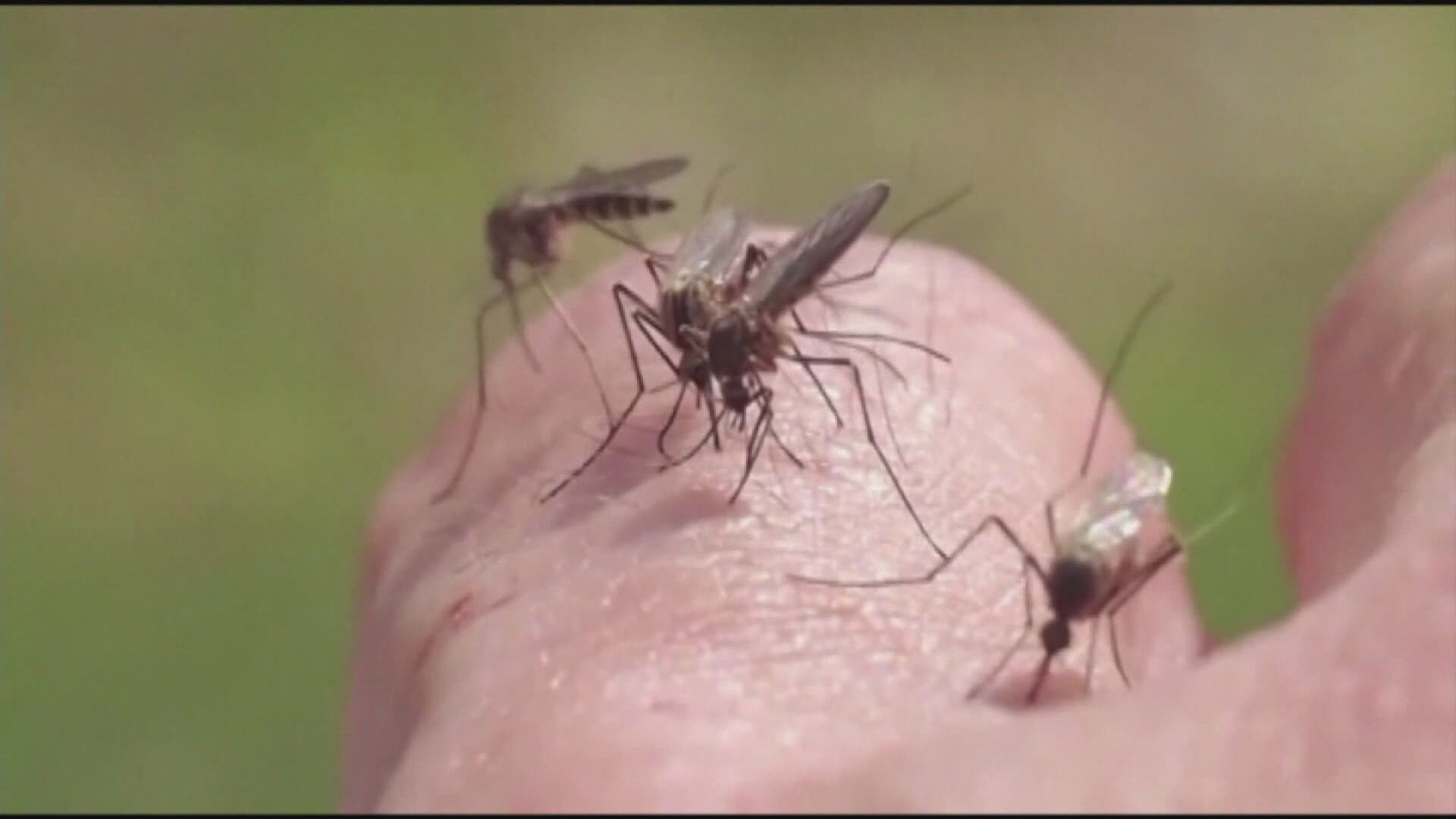 A Maine man recovered from the Jamestown Canyon virus in 2017