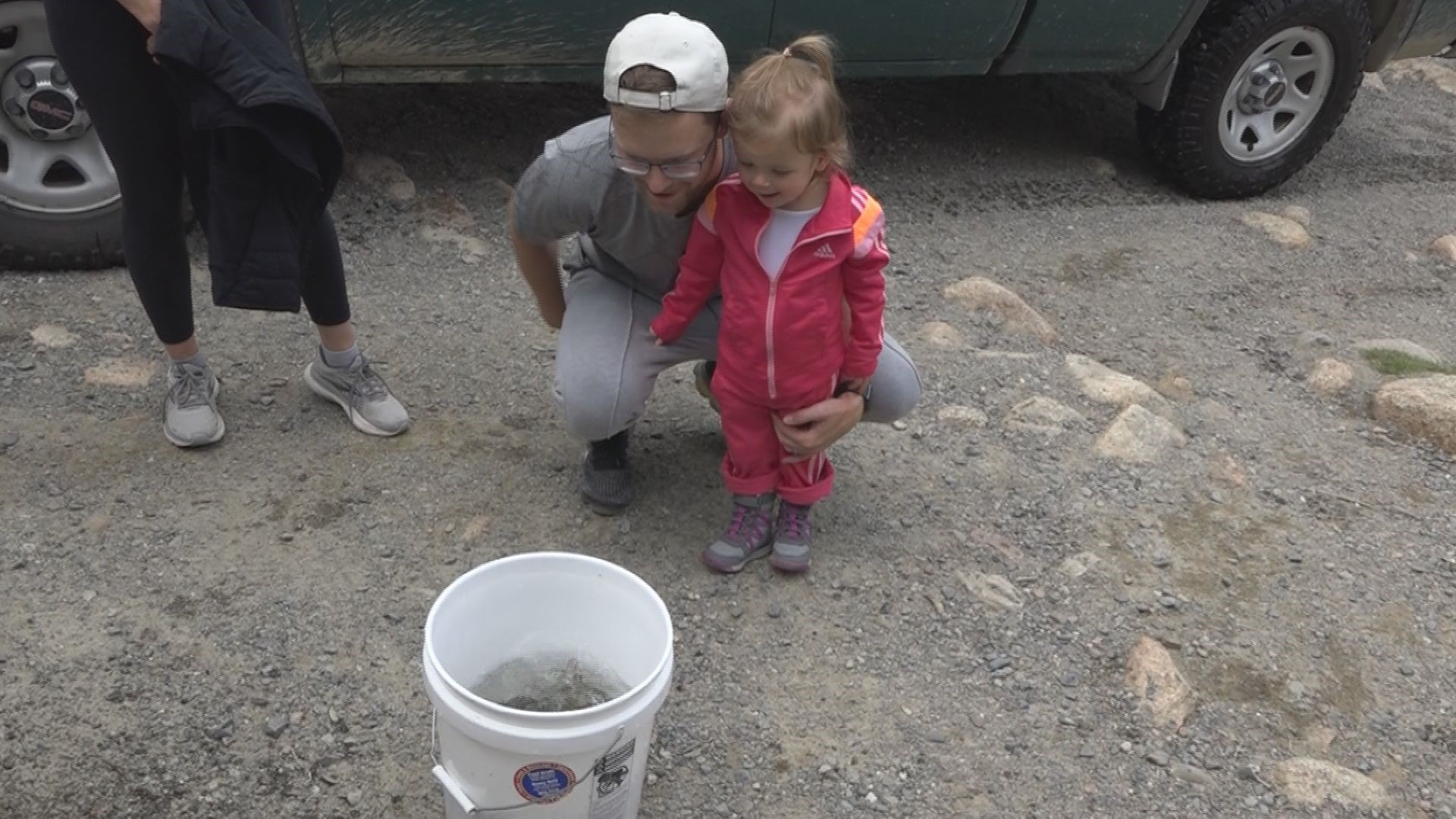 Fish stocking in Maine's lakes and ponds at full throttle for anglers