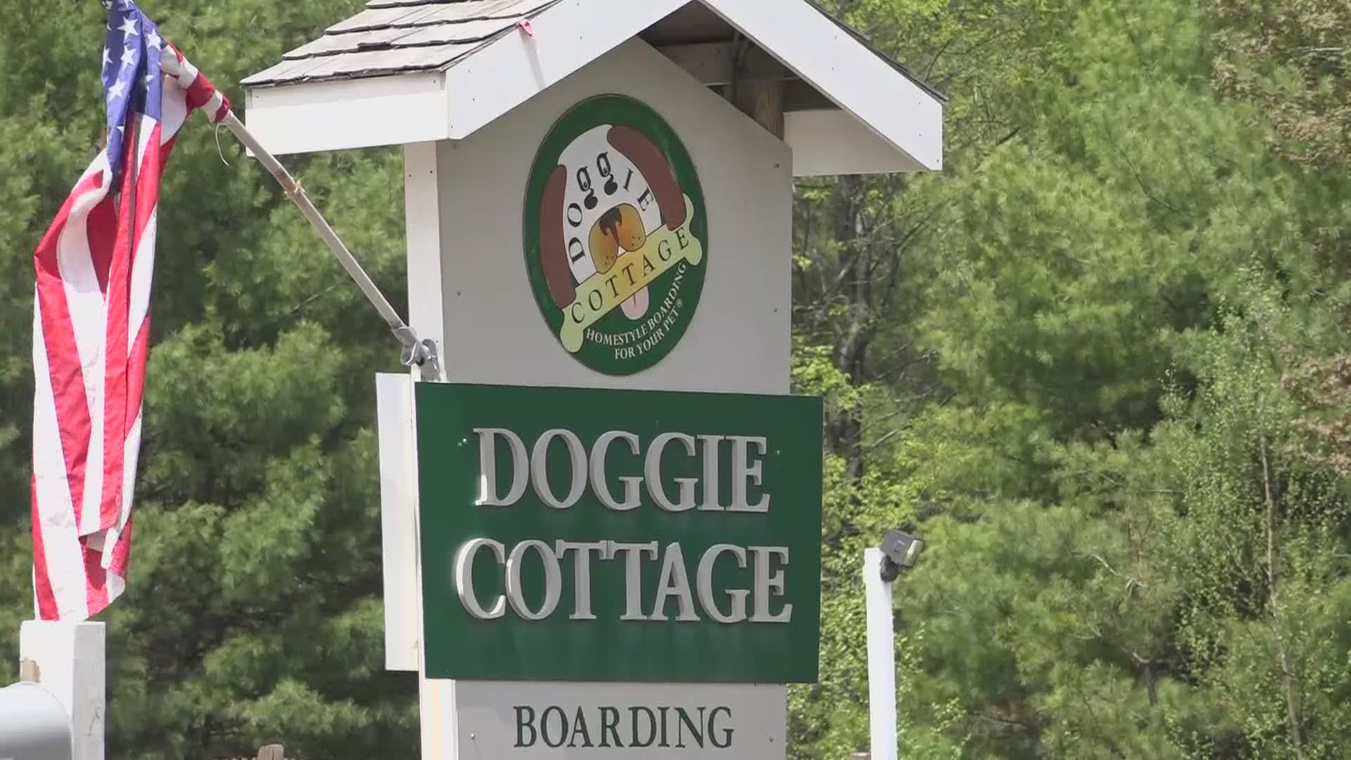 Samantha Larson, a former employee at The Doggy Cottage in Scarborough, has started a petition to have the business shut down.