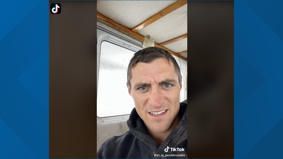 Maine fisherman goes viral on TikTok