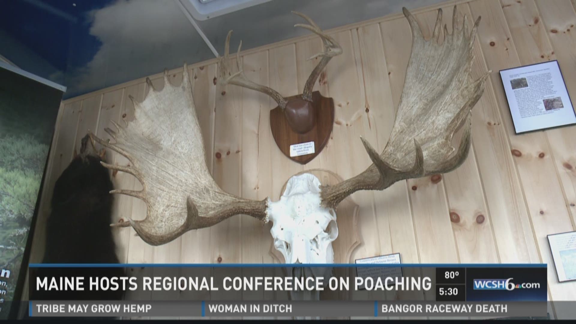 Maine hosts regional conference on poaching