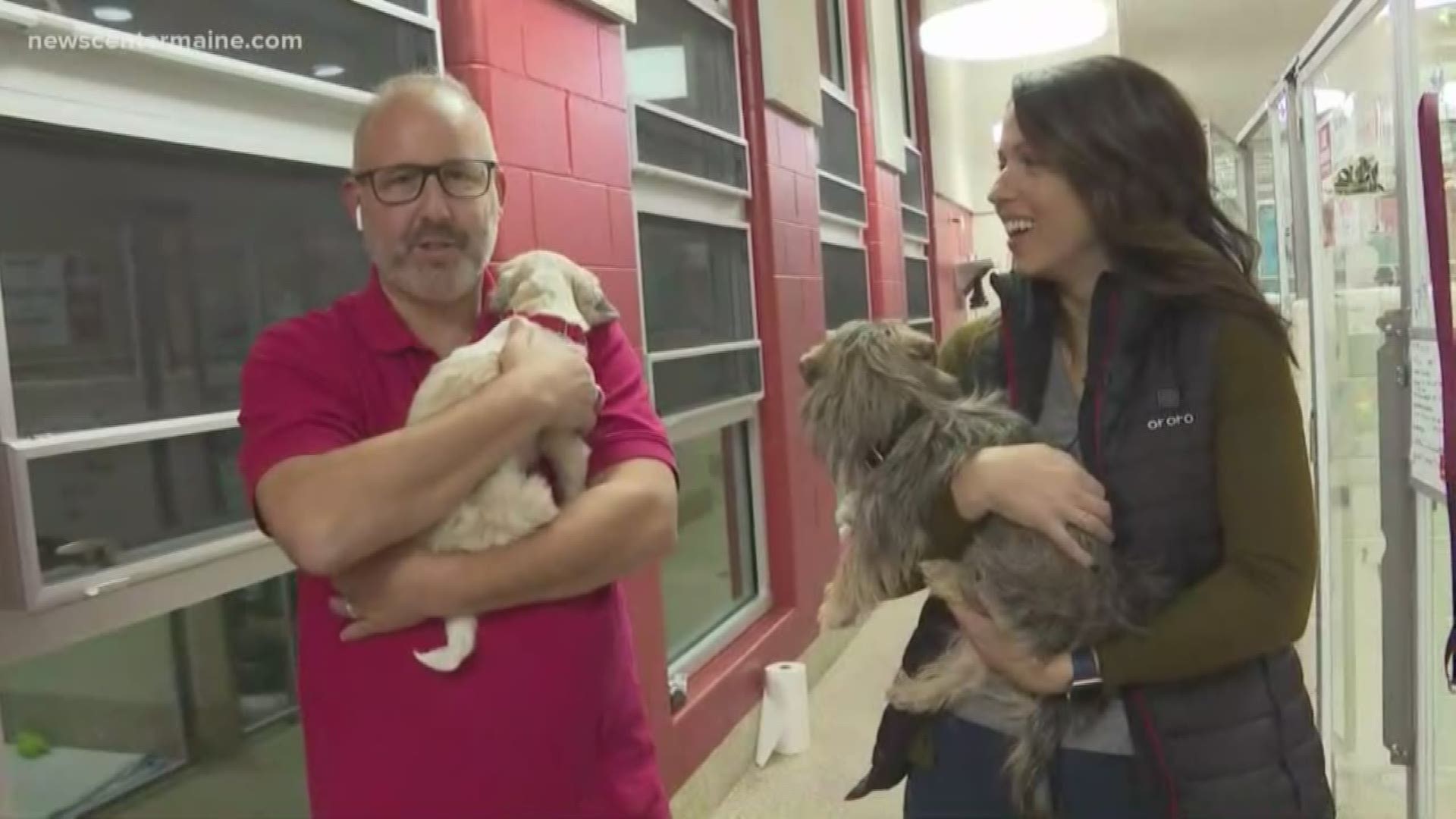 Amanda Hill and Lee Goldberg are sleeping with the dogs Friday night to raise money for the Animal Refuge League of Greater Portland.