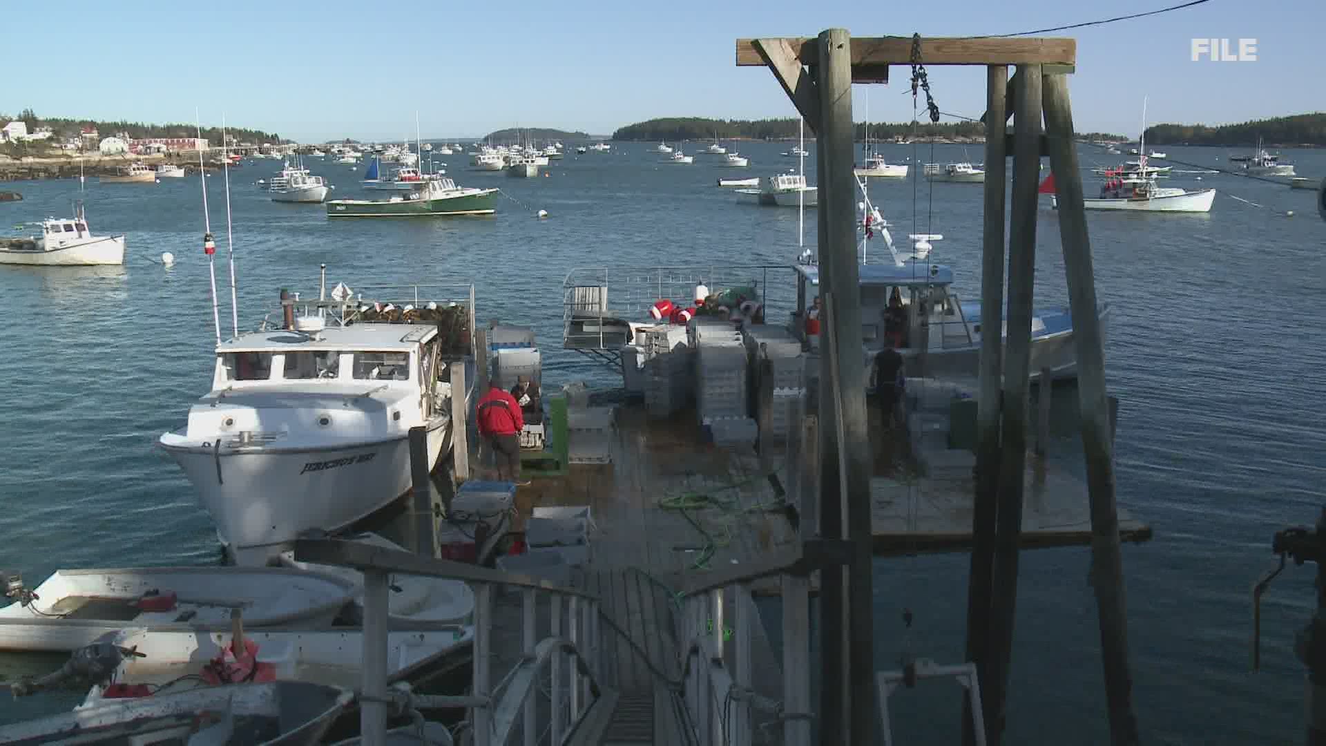 Maine's lobster industry struggles amid coronavirus