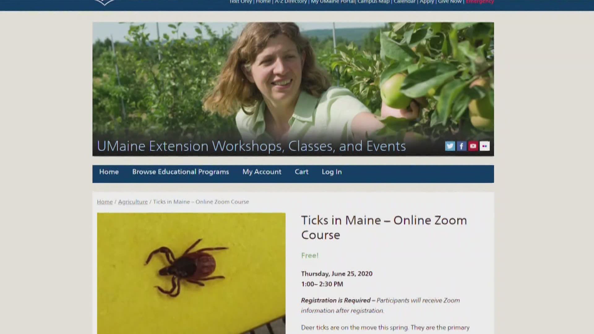 University of Maine Cooperative Extension to host informational webinar on ticks