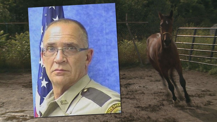 Horse 'Cpl. Cole,' named after deputy, to race for 1st time