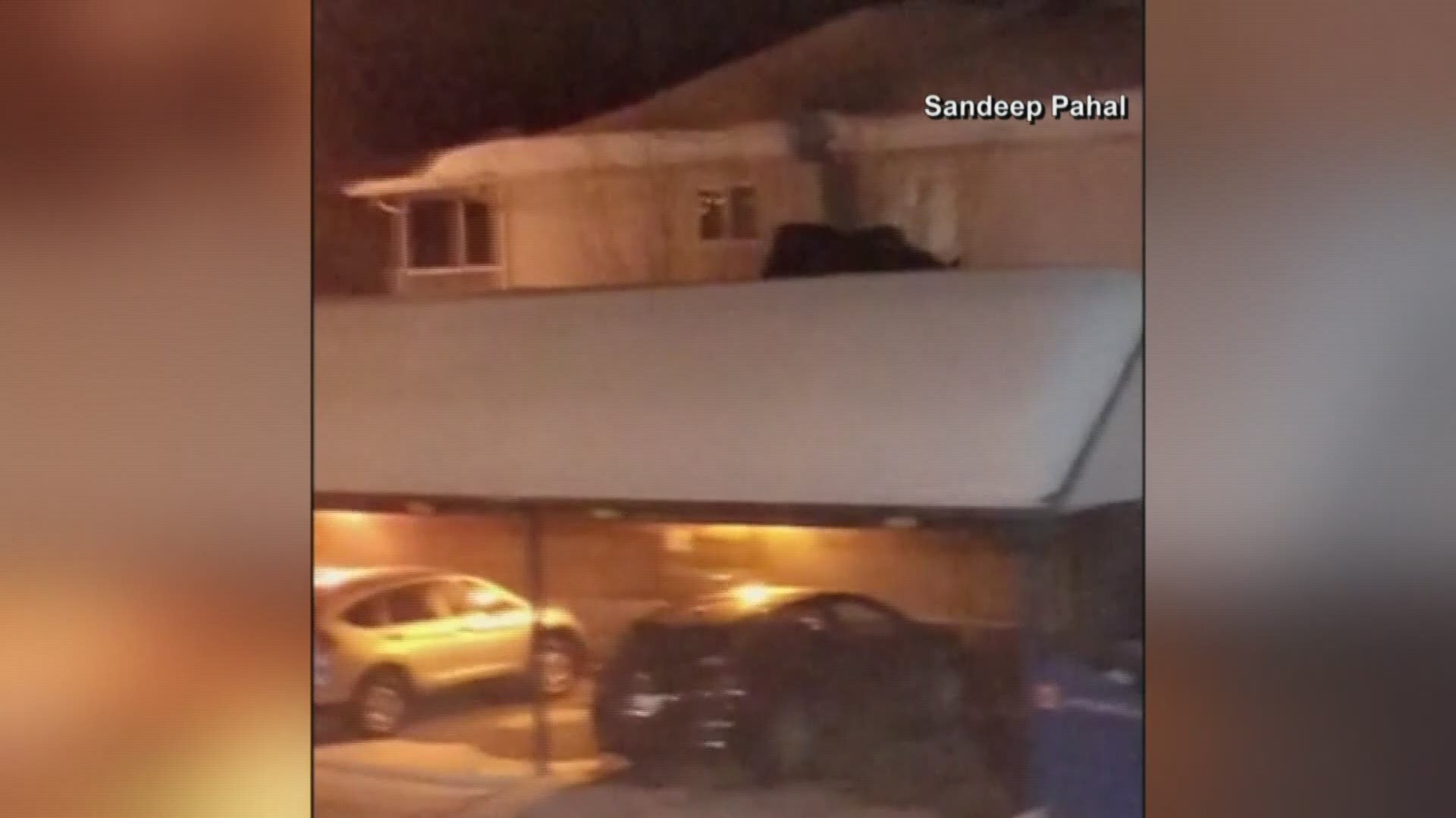 A moose walking on a roof in Canada is caught on camera.