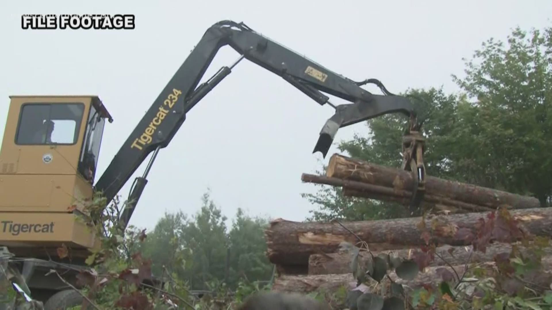 The Maine Forest Service says its settling with timber harvester Maine Custom Woodlands.