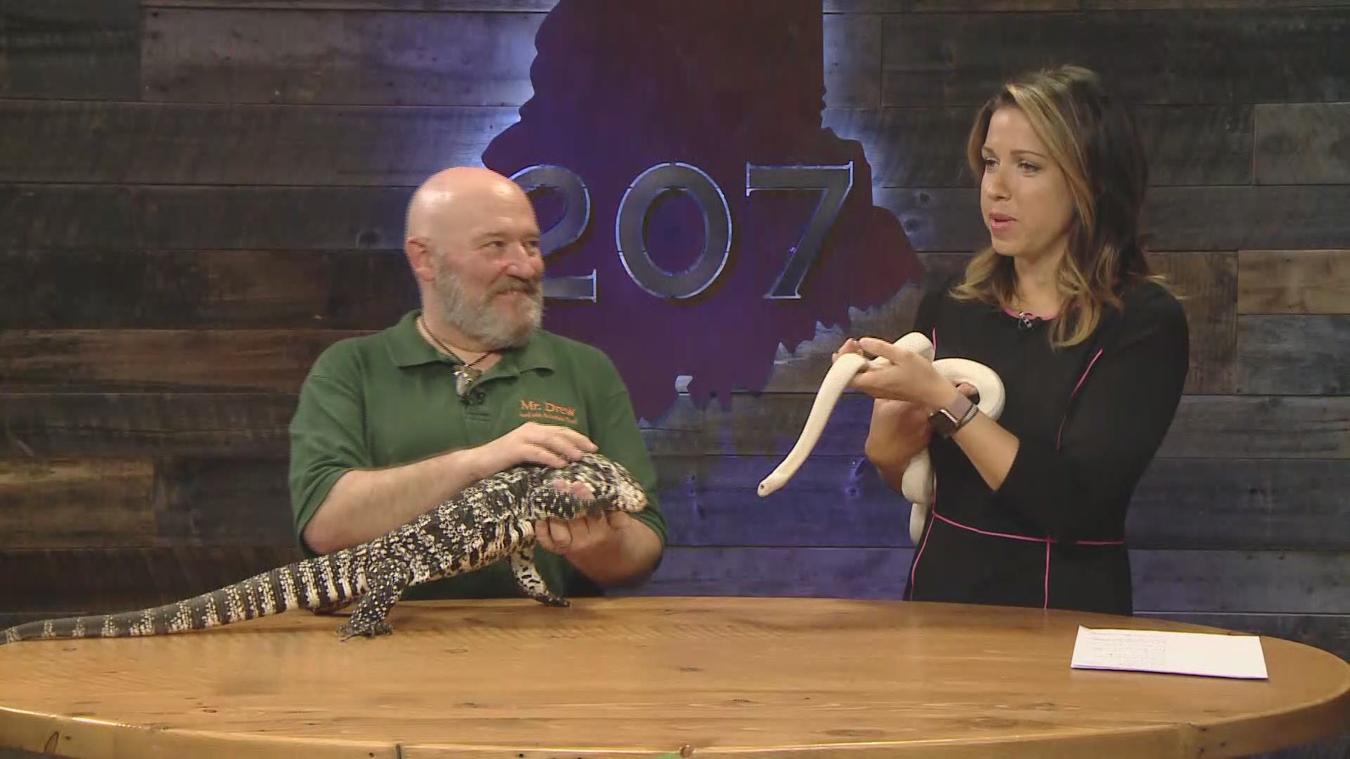 A snake, a tortoise, a tegu and a snapping turtle walked into the 207 studio...
