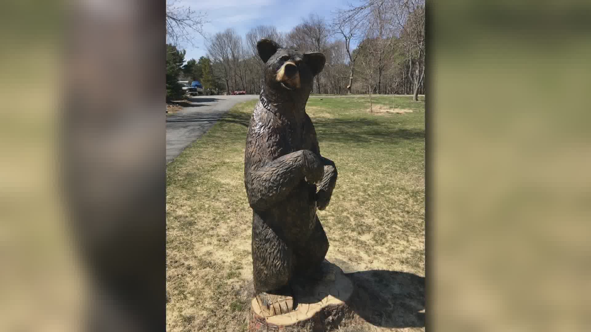 Bangor Artist Danny Burns has finished his sculpture of a black bear on Fountain St. from a maple tree.