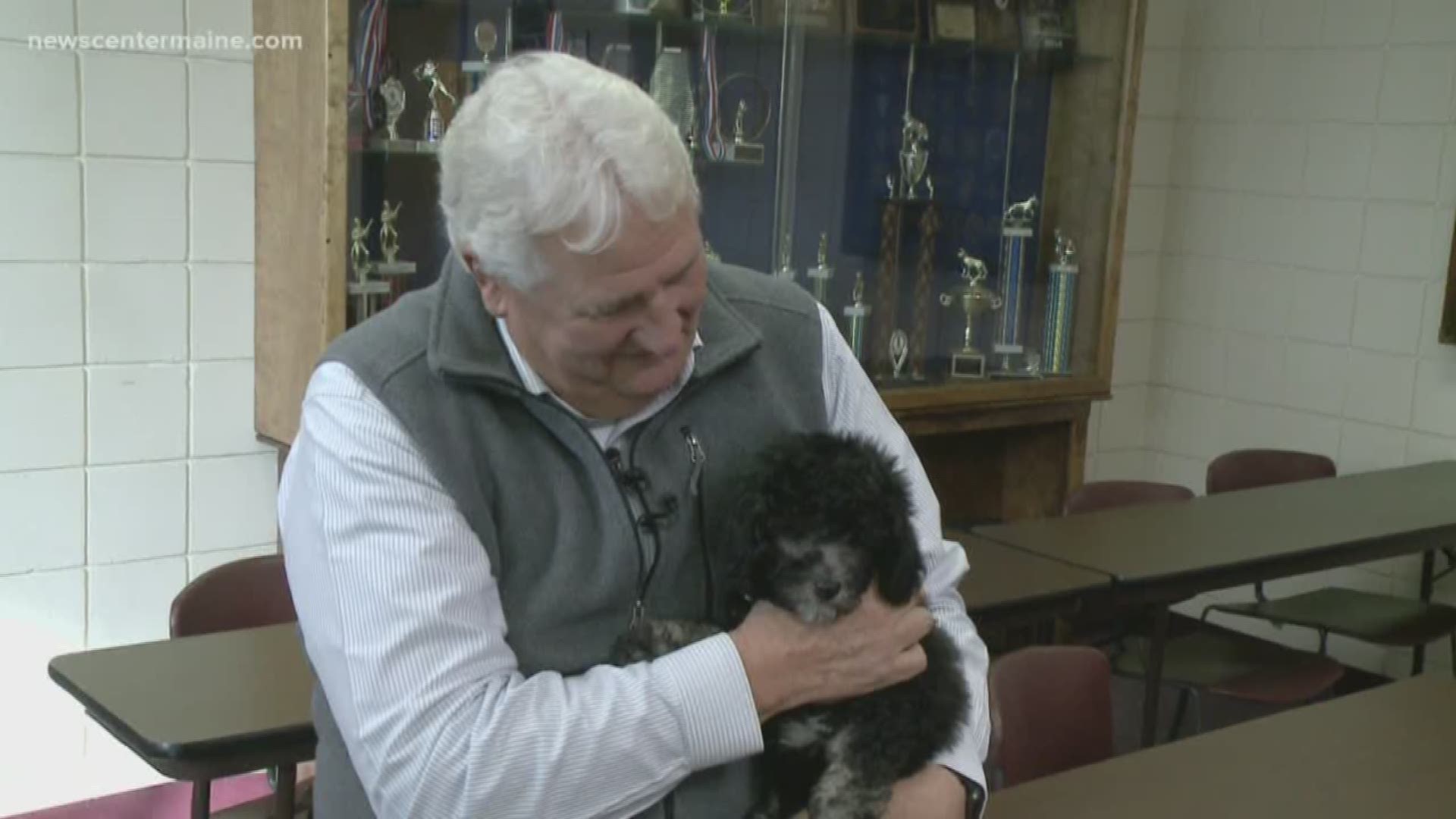 Marlea Grace is the Scarborough Police Department's new puppy with a purpose.